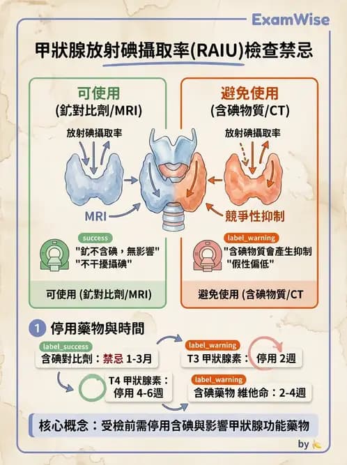 放射 - 甲狀腺造影 - AI 圖文解析預覽