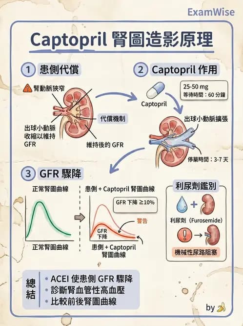 放射 - 腎臟造影 - AI 圖文解析預覽