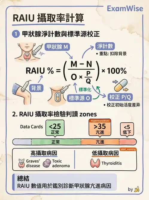 放射 - 甲狀腺造影 - AI 圖文解析預覽