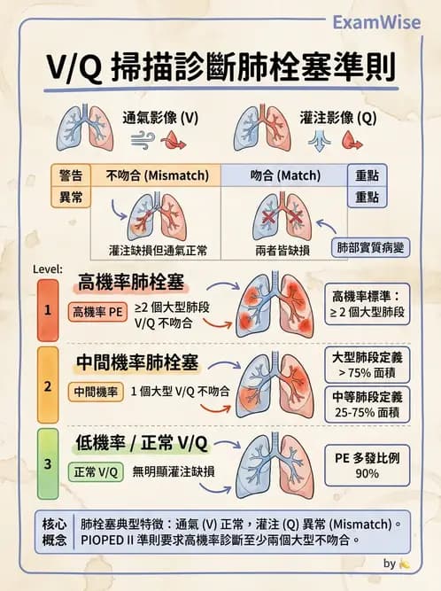 放射 - 肺部與感染造影 - AI 圖文解析預覽
