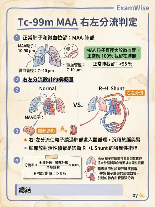 放射 - 肺部與感染造影 - AI 圖文解析預覽