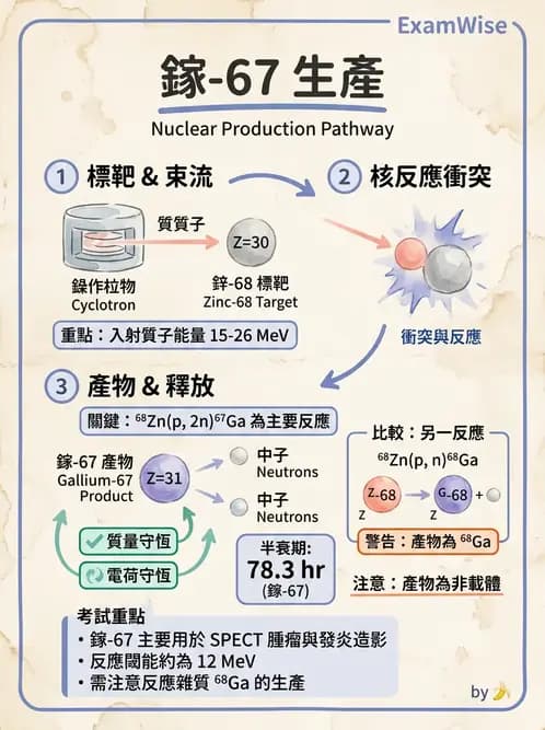 放射 - 核種生產與孳生器 - AI 圖文解析預覽