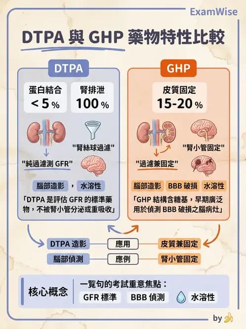 放射 - 腎臟造影SPECT藥物 - AI 圖文解析預覽