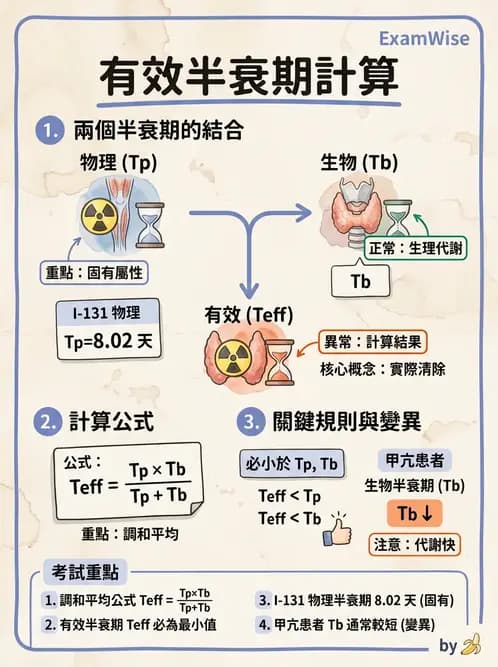 放射 - 體內吸收劑量 - AI 圖文解析預覽