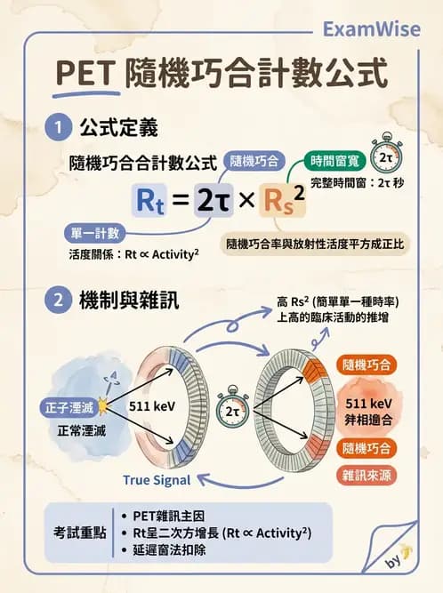 放射 - PET造影原理與重組 - AI 圖文解析預覽