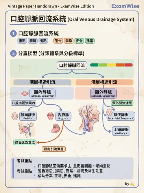 放射 - 血管 - AI 圖文解析預覽