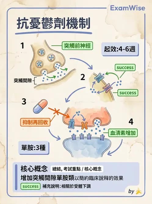 放射 - 神經生理 - AI 圖文解析預覽