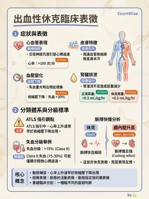 放射 - 感染、修復及其反應 - AI 圖文解析預覽