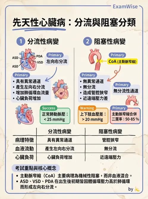 放射 - 心臟及血管疾病 - AI 圖文解析預覽