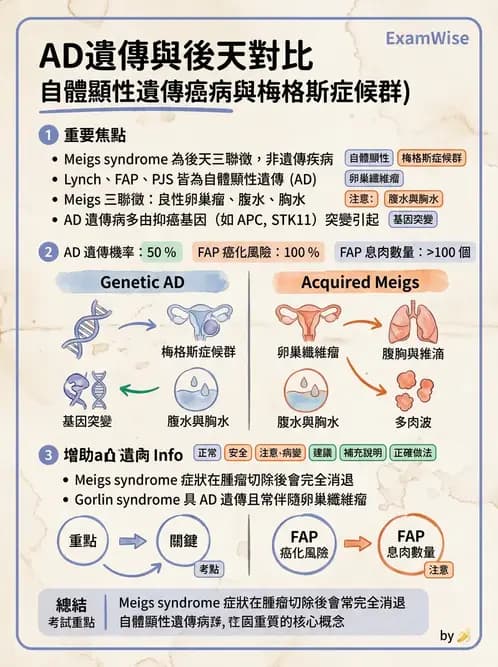 放射 - 口腔及腸胃道疾病 - AI 圖文解析預覽