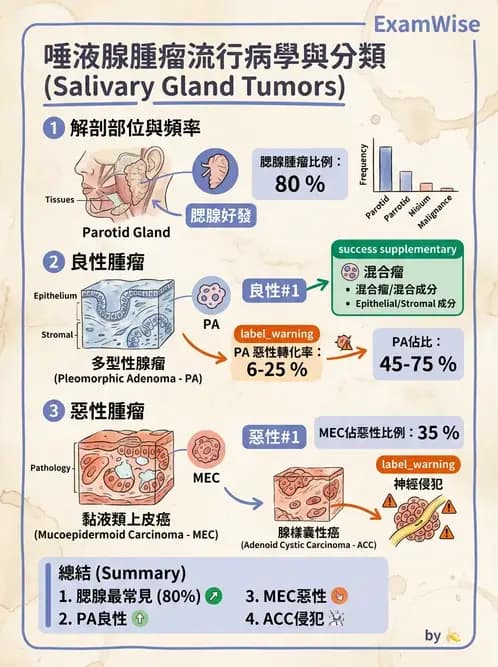 放射 - 口腔及腸胃道疾病 - AI 圖文解析預覽