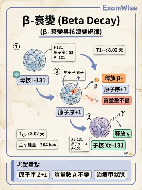 放射 - 放射性蛻變模式 - AI 圖文解析預覽