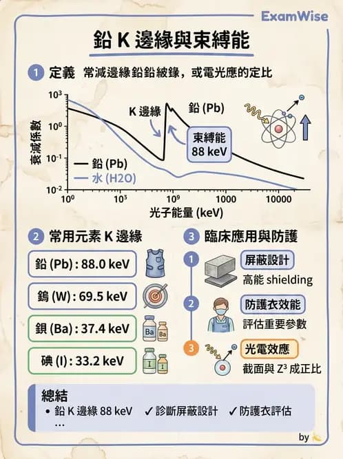 放射 - 光子作用機制 - AI 圖文解析預覽