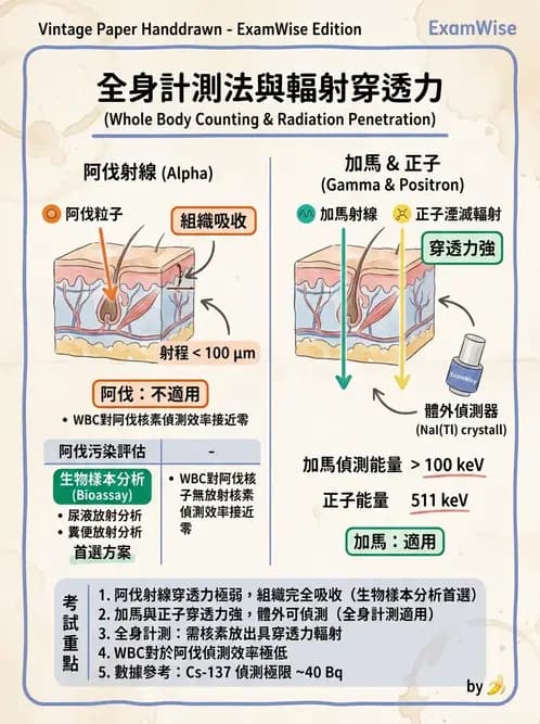 放射 - 體內劑量 - AI 圖文解析預覽