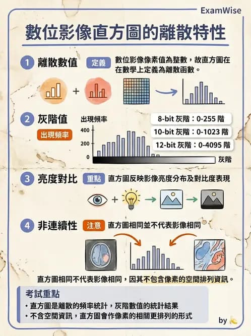 放射 - 透視與數位影像 - AI 圖文解析預覽