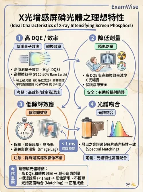 放射 - 影像接受器與乳房攝影 - AI 圖文解析預覽