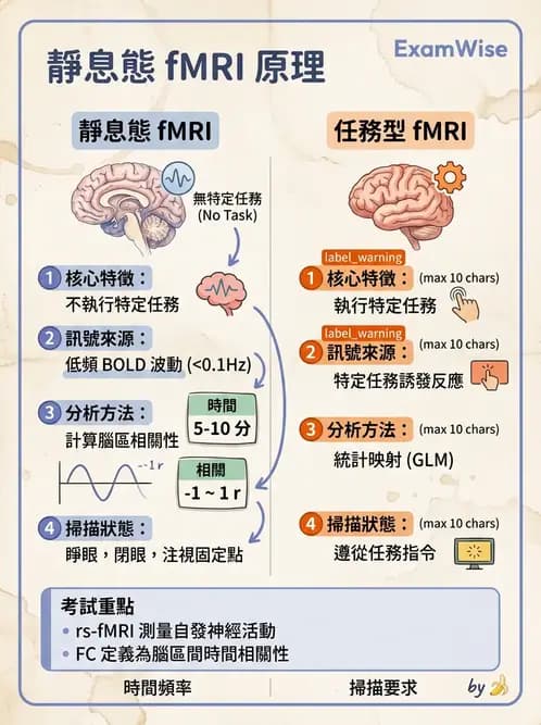 放射 - MRI基本物理與弛緩 - AI 圖文解析預覽