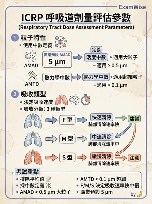 放射 - 體內劑量 - AI 圖文解析預覽