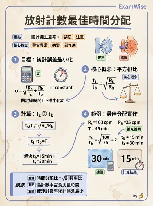 放射 - 放射計數統計 - AI 圖文解析預覽