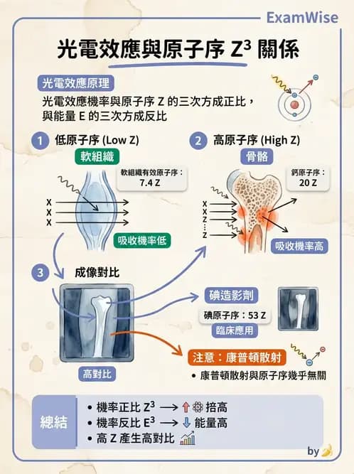 放射 - X光成像系統與影像品質 - AI 圖文解析預覽