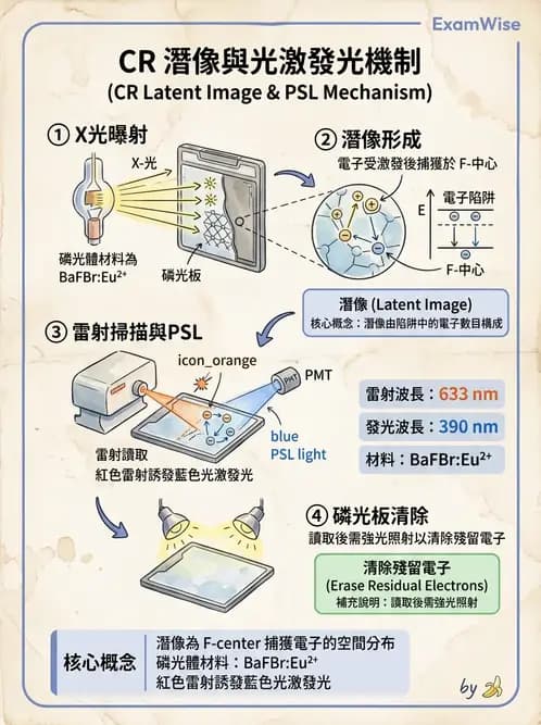 放射 - 電腦放射攝影(CR)原理與應用 - AI 圖文解析預覽