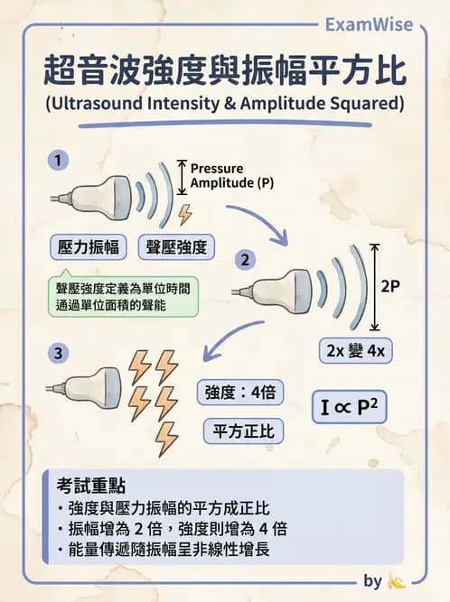 放射 - 超音波物理與系統原理 - AI 圖文解析預覽