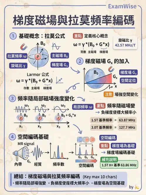 放射 - 梯度線圈與空間編碼 - AI 圖文解析預覽