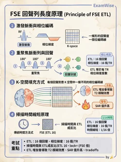放射 - 梯度線圈與空間編碼 - AI 圖文解析預覽