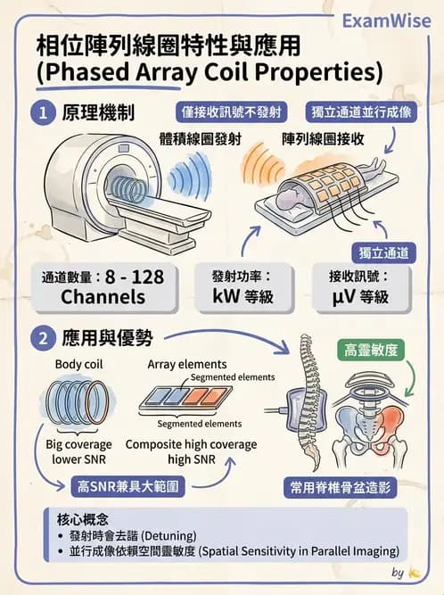放射 - 射頻系統與線圈 - AI 圖文解析預覽