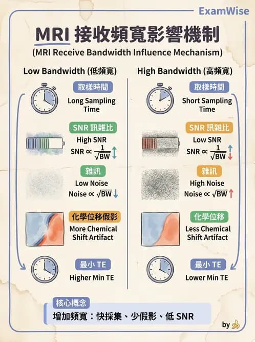放射 - 射頻系統與線圈 - AI 圖文解析預覽