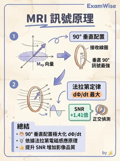 放射 - 射頻系統與線圈 - AI 圖文解析預覽