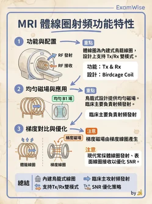 放射 - 射頻系統與線圈 - AI 圖文解析預覽