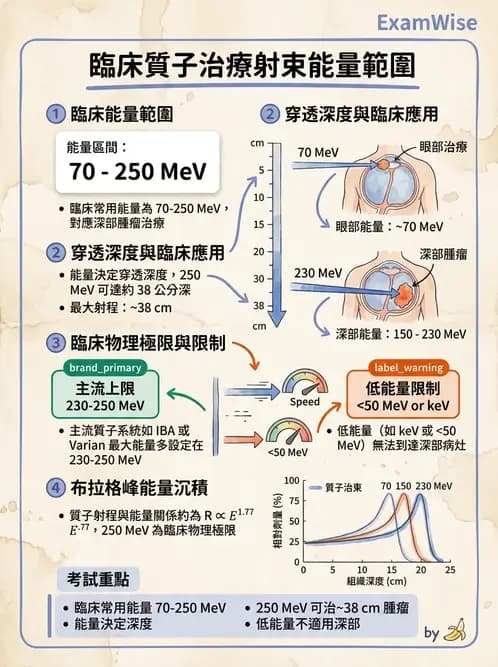 放射 - 質子及中子治療機 - AI 圖文解析預覽
