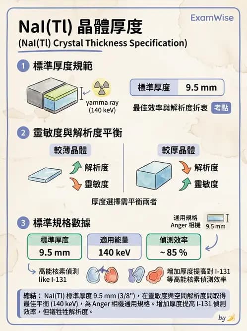 平面影像 - 影像儀器設備 - AI 圖文解析預覽
