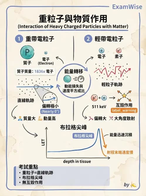 放射 - 質子及中子治療機 - AI 圖文解析預覽