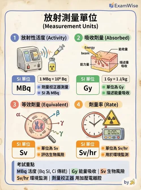 放射 - 非影像閃爍偵測器 - AI 圖文解析預覽