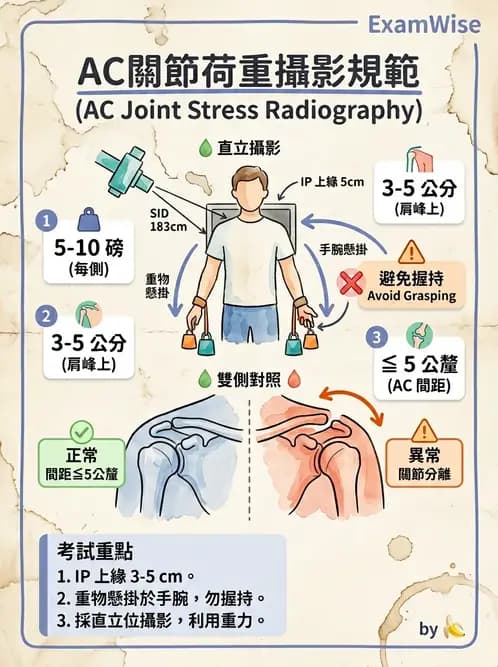放射 - 軀幹四肢攝影技術 - AI 圖文解析預覽