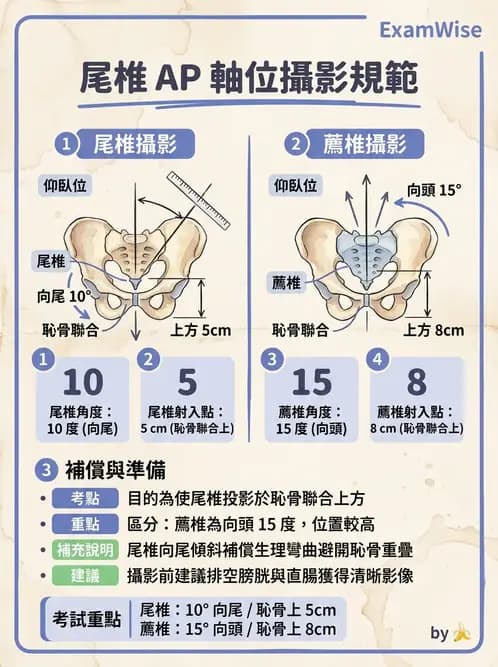 放射 - 頭頸脊椎攝影技術 - AI 圖文解析預覽