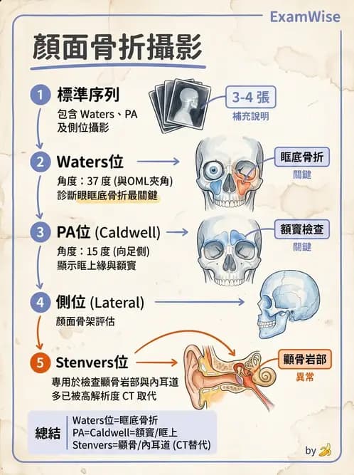 放射 - 頭頸脊椎攝影技術 - AI 圖文解析預覽