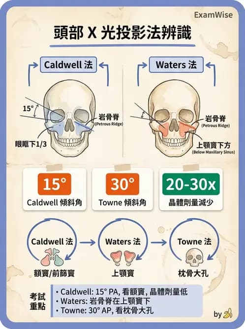 放射 - 頭頸脊椎攝影技術 - AI 圖文解析預覽