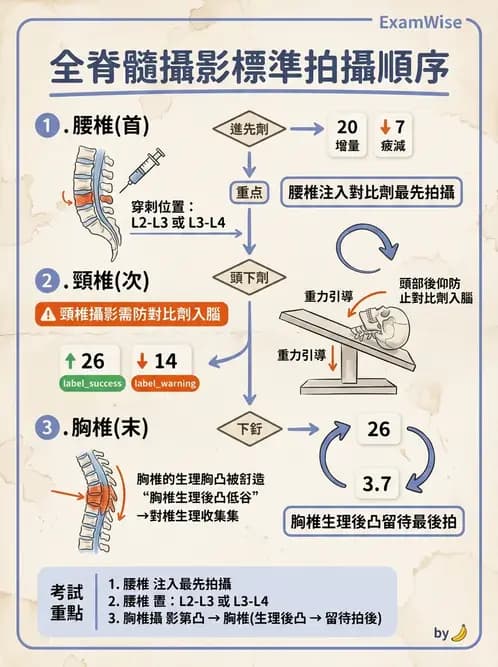 放射 - 頭頸脊椎攝影技術 - AI 圖文解析預覽