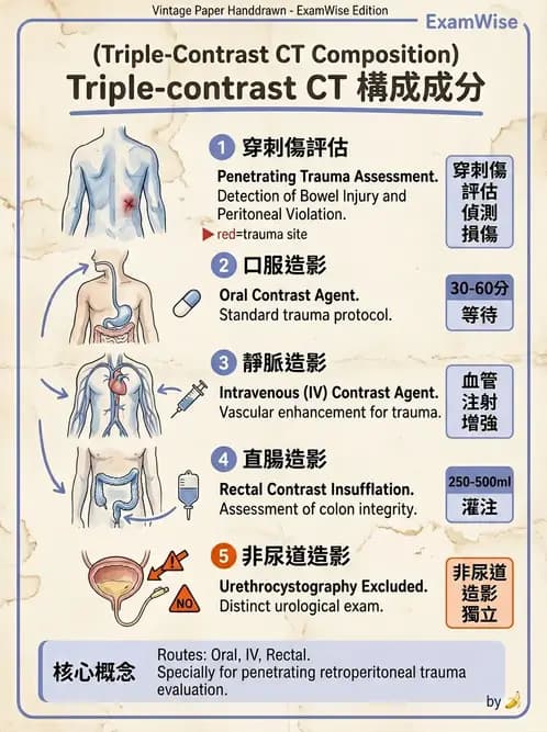 放射 - CTA與CT影像技術應用 - AI 圖文解析預覽