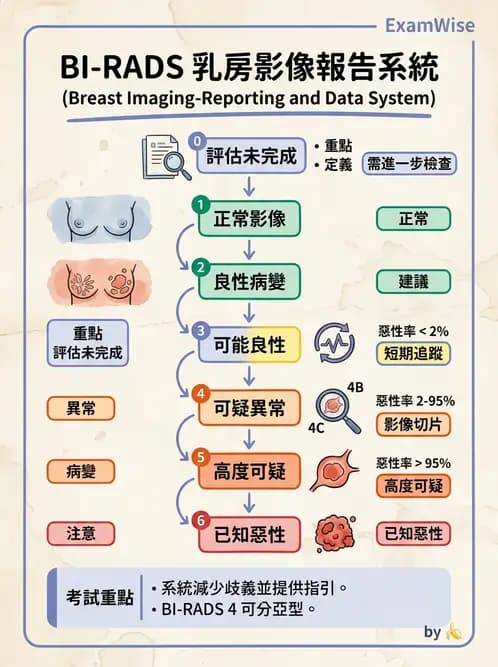 放射 - 乳房攝影與其他特殊檢查 - AI 圖文解析預覽