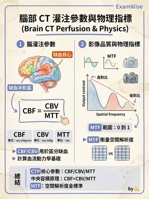 放射 - CTA與CT影像技術應用 - AI 圖文解析預覽