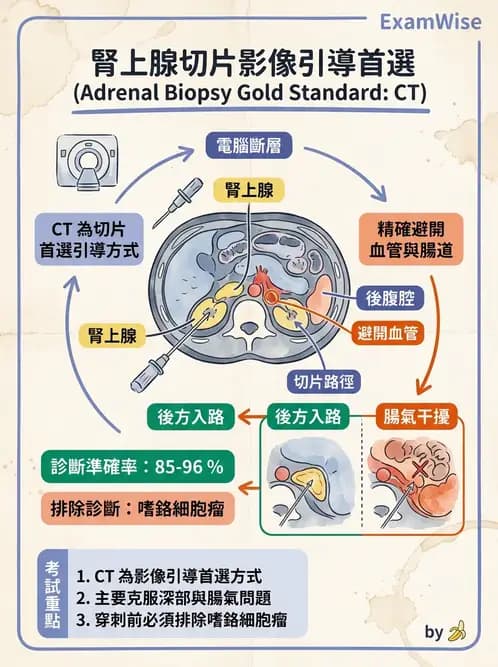 放射 - 導管技術與介入性治療 - AI 圖文解析預覽