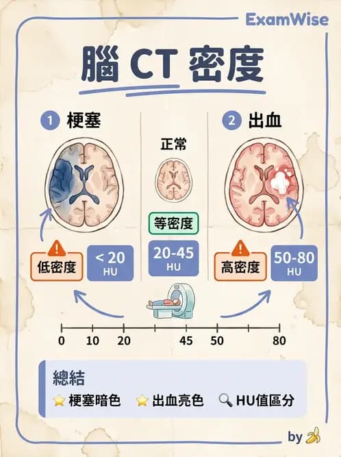 放射 - 頭頸部CT診斷 - AI 圖文解析預覽