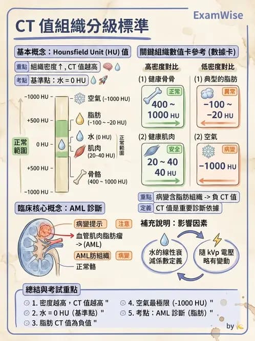 放射 - CT物理原理與掃描技術 - AI 圖文解析預覽