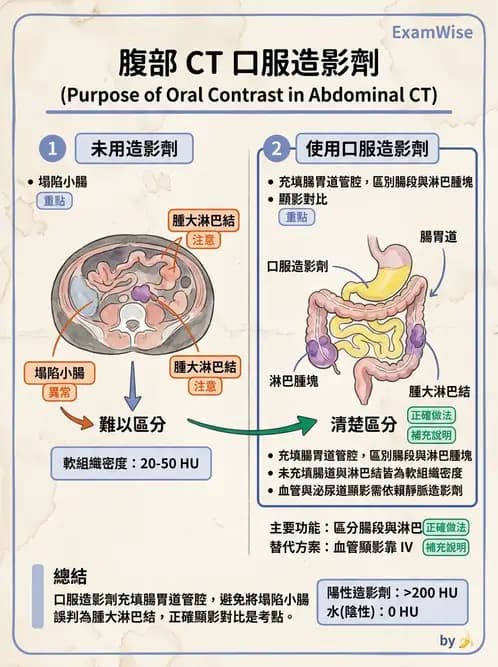 放射 - 胸腹部CT診斷 - AI 圖文解析預覽
