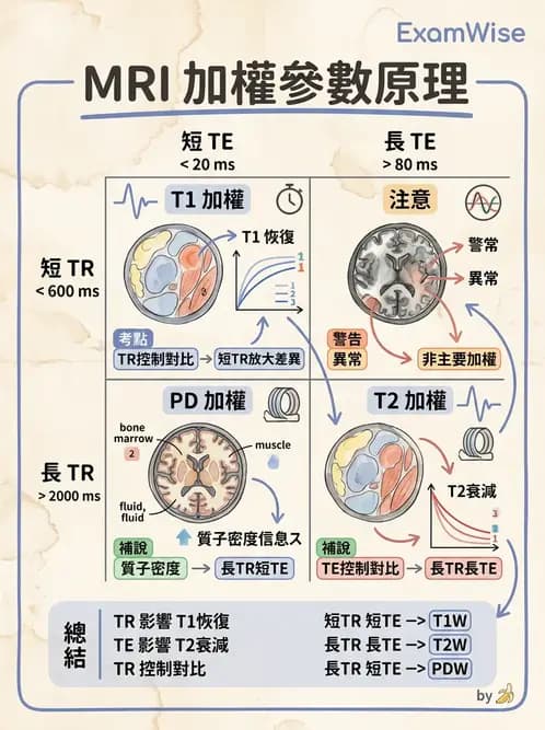 放射 - 磁振造影原理 - AI 圖文解析預覽