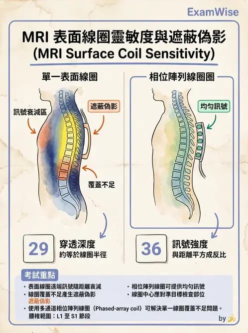 放射 - 磁振影像品質與參數 - AI 圖文解析預覽